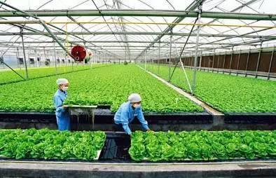2017下半年這10個農業項目補貼不能再錯過！